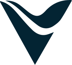 ویچینی - veecchini