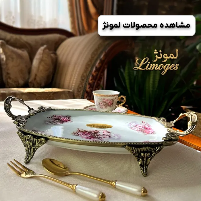 ظروف پذیرایی لمونژ