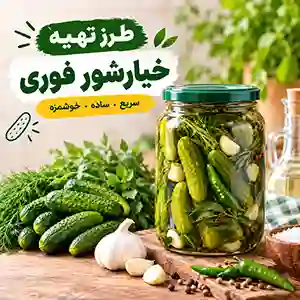 طرز تهیه خیارشور فوری